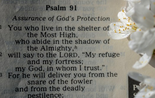 anuja-mary-tilj-jNYSxUbq-ao-unsplash