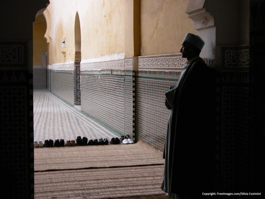 the-guardian-1436148 (2).jpg