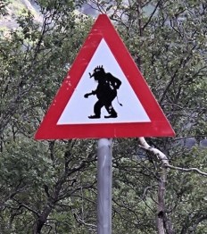 lookout-for-trolls-1316342.jpg
